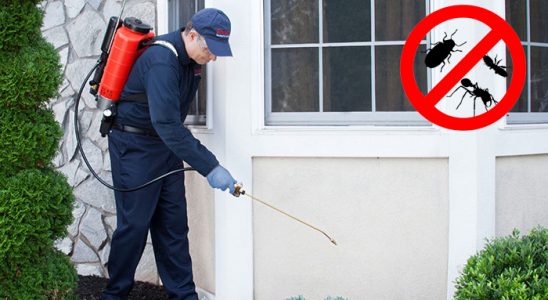 Doğanhisar Uçan Haşere İlaçlama böcek ilaçlama ve haşere kontrolü — ilaclama-tr.com